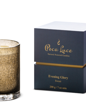 Small Evening Glory Candle