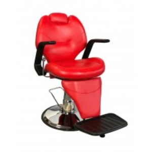 Chandler All Purpose Salon Chair