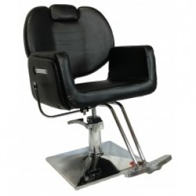 Moda All Purpose Salon Chair